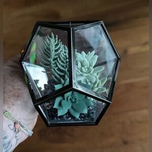 Bath & Body Works Geometric Succulent Terrarium Wallflower Plug-In